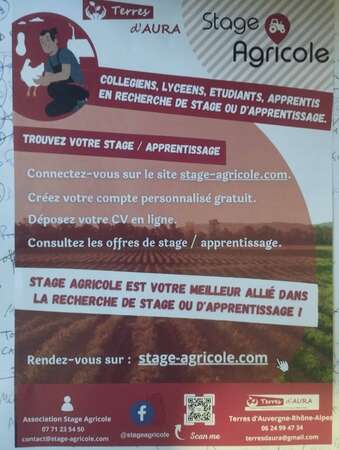 Photo de l'actualit A la recherche d'un stage / d'un stagiaire ?