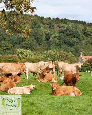 Photo de l'actualit� 0065 APPRENTI H/F en polyculture �levage
