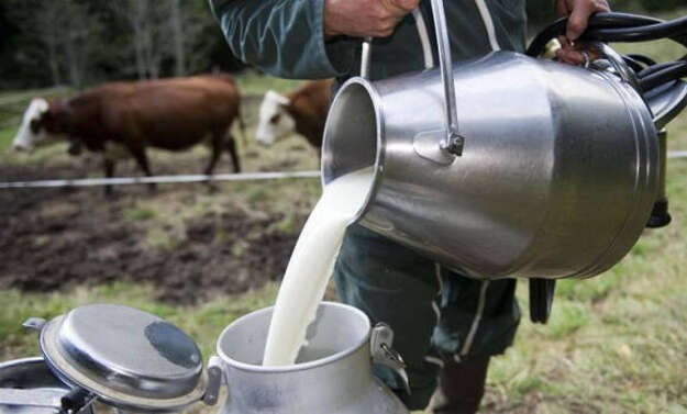 Photo de l'actualité OUVRIER AGRICOLE POLYVALENT H/F en Elevage Laitier