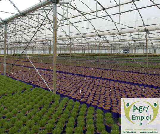 Photo de l'actualit 0045 RESPONSABLE DE PRODUCTION H/F EN PRODUCTION MARAICHERE ET GRANDES CULTURES