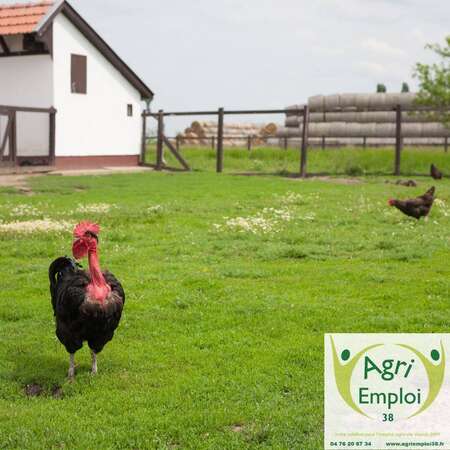 Photo de l'actualit 0054 OUVRIER AGRICOLE POLYVALENT H/F en Elevage avicole
