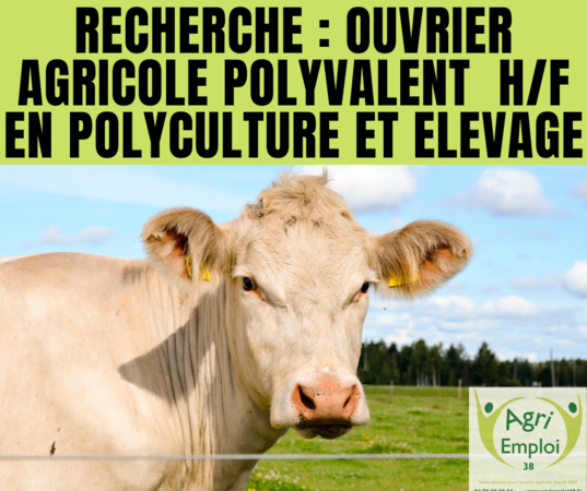 Photo de l'actualité OUVRIER AGRICOLE POLYVALENT H/F en polyculture et élevage